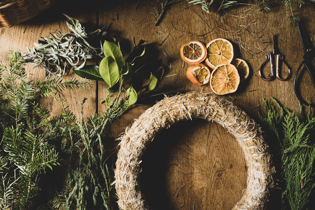 Eco-Friendly Home Decor: Sustainable Style for a Greener Future